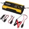 Carregador inteligente de bateria 6/12V - CIB 0220  110V